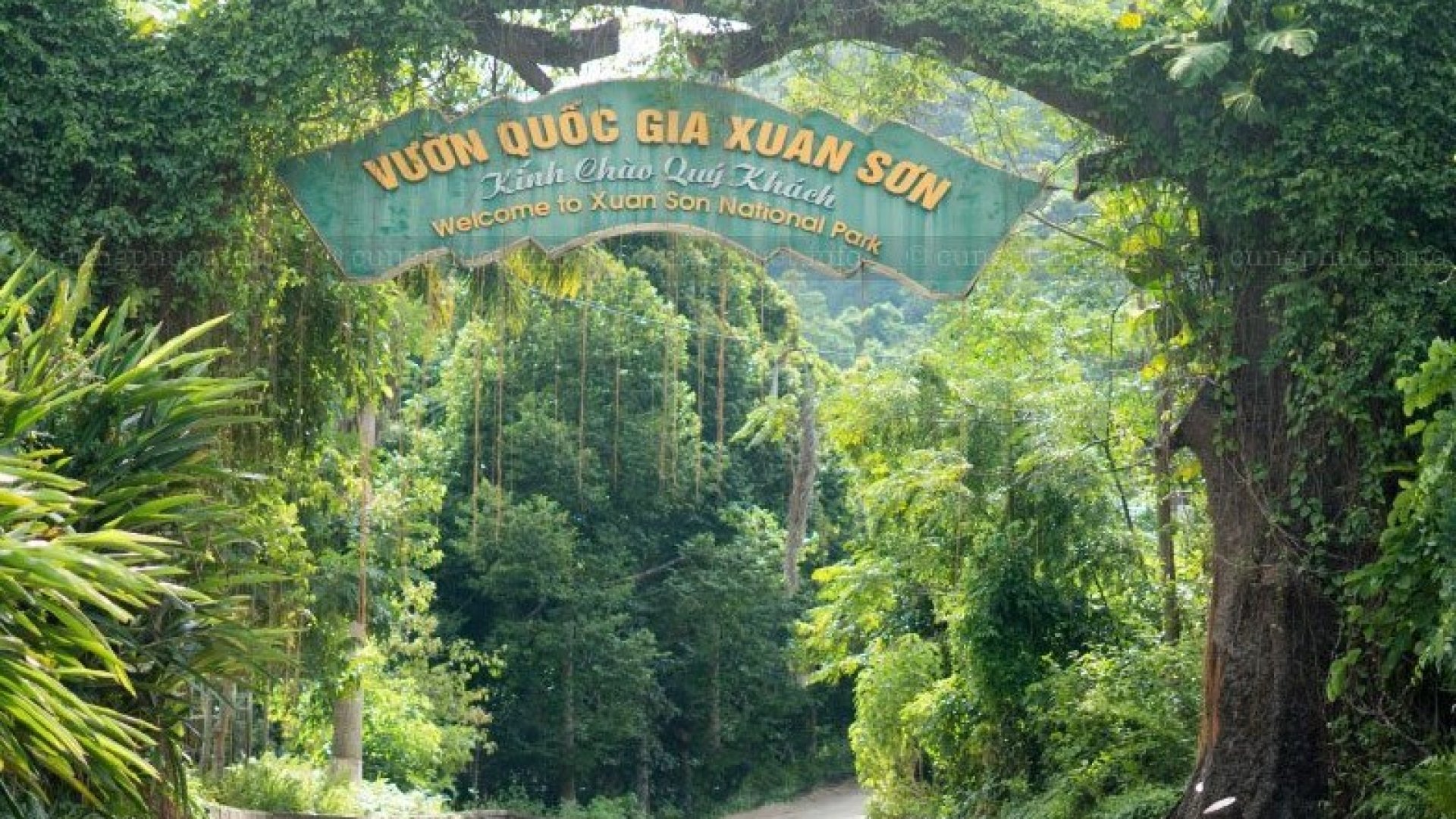 Top 10 Khu Du Lịch Sinh Thái Ở Phú Thọ Đáng Đi Nhất 2026