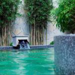 Ảnh tại Quảng Ninh