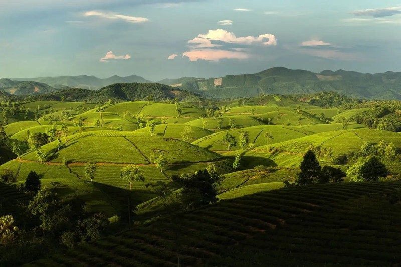 dao ngoc xanh thanh thuy phu tho