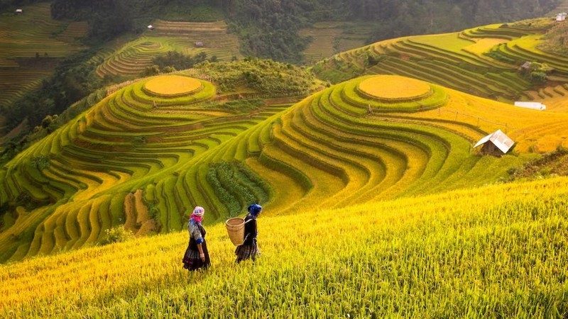 2023-05-du-lich-gia-dinh-nen-di-dau-8.jpg