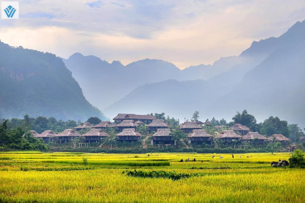 tam khoang nong hoa binh