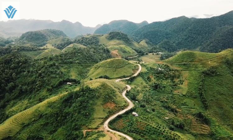 tam khoang nong hoa binh