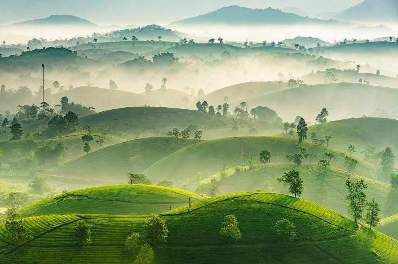 Top 15 món ngon đặc sản Phú Thọ nổi tiếng nên thử và mua làm quà