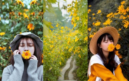 Khám phá Vườn quốc gia Ba Vì: Ở đâu? Có gì chơi? Giá vé