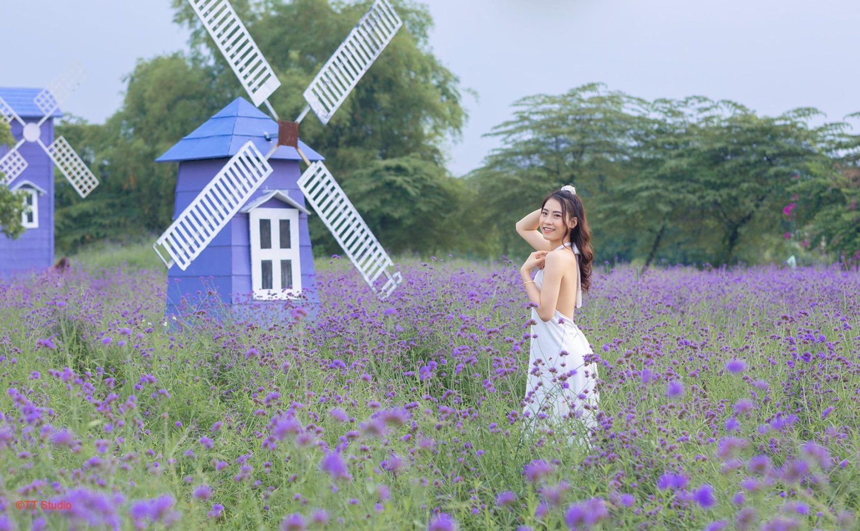 Thảo nguyên hoa Long Biên – Địa điểm mệnh danh “trời âu ở Hà Nội” 