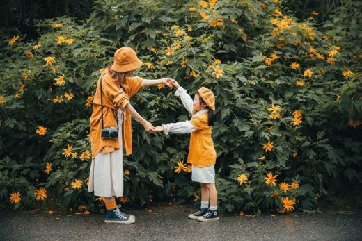 Bí Quyết Săn Hoa Dã Quỳ Ba Vì – Tạo Ra Những Bức Ảnh Đẹp Nhất