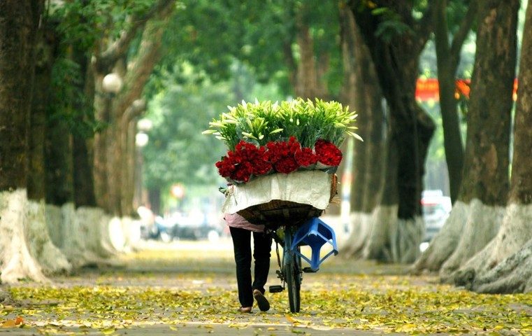 du lich ha noi mua thu