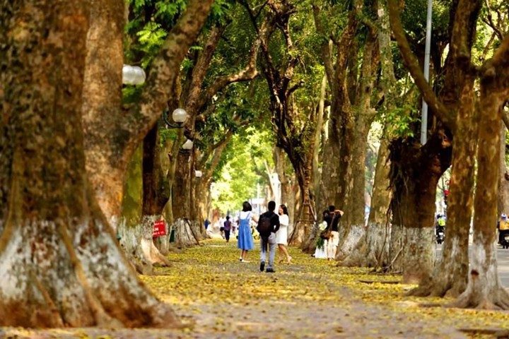 2024-05-du-lich-ha-noi-mua-thu-2.jpg