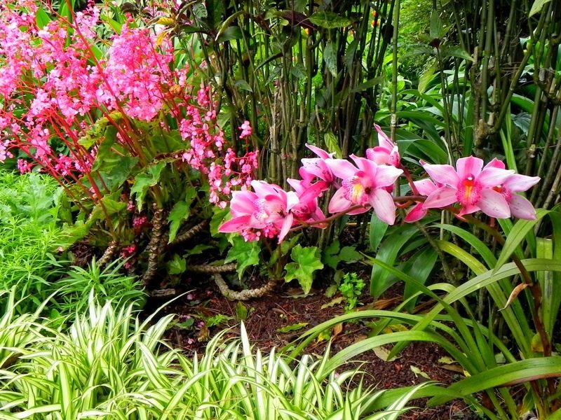 Khu du lịch Thác Đa – Kinh nghiệm ẩn mình trong núi Tản Ba Vì