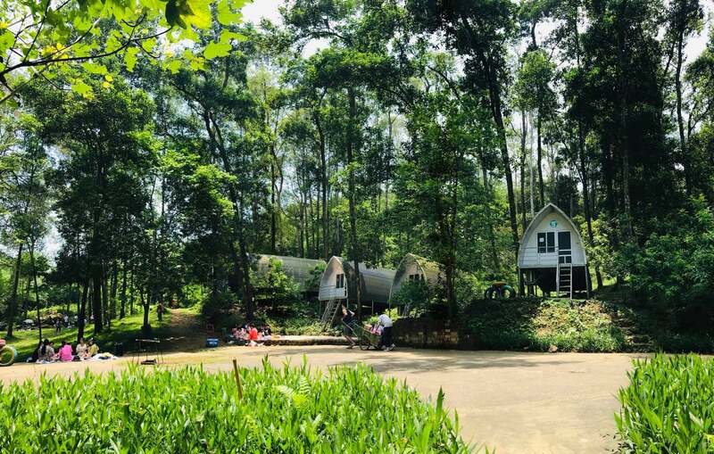 Sơn Tinh Camp: Trải nghiệm căm trại, dã ngoại HOT nhất Hà Nội