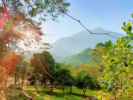 Sơn Tinh Camp: Trải nghiệm căm trại, dã ngoại HOT nhất Hà Nội