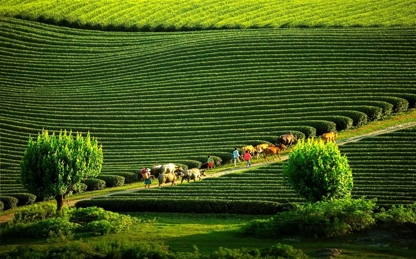 tháng 5 nên đi du lịch ở đâu