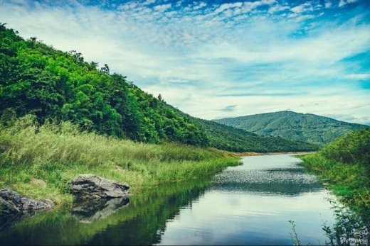 Lịch trình du lịch Tam Đảo 1 ngày chi tiết A – Z đầy thú vị