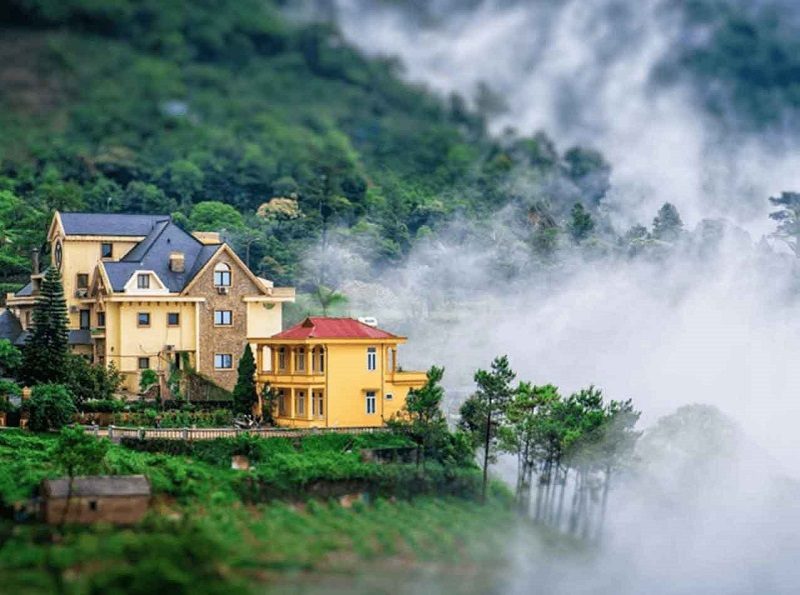 Review Du lịch Tam Đảo có gì hay? Ăn gì, Chơi gì, Đi đâu?