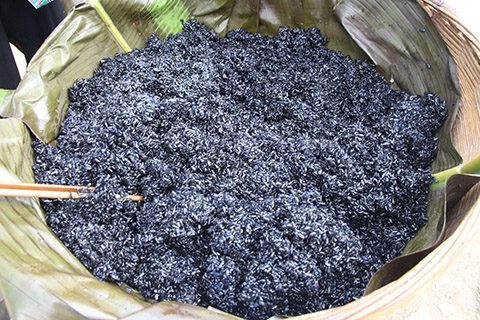 Review Du lịch Tam Đảo có gì hay? Ăn gì, Chơi gì, Đi đâu?