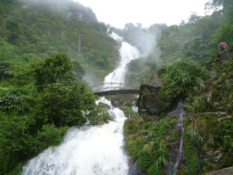 Kinh nghiệm đi Tour du lịch Tam Đảo 2 ngày 1 đêm chi tiết nhất