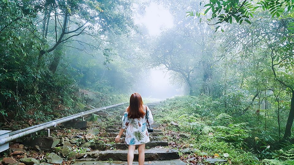 Tour Du lịch Tam Đảo 3 ngày 2 đêm – nghỉ dưỡng ngay gần Hà Nội