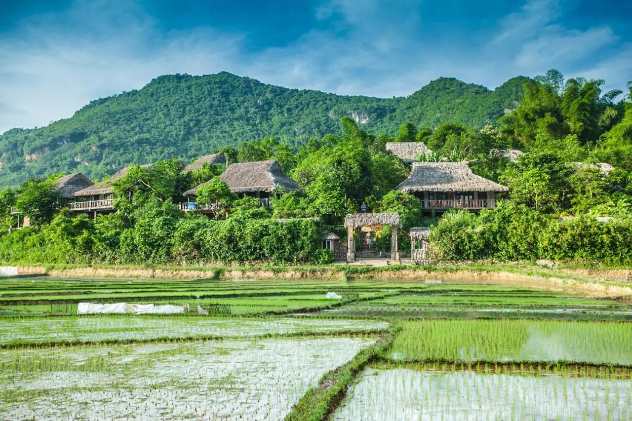 Top điểm nghỉ dưỡng miền Bắc “siêu” lý tưởng tận hưởng mùa thu