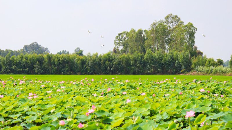 Tháng 7 nên đi du lịch ở đâu? List 15+ địa chỉ du lịch mùa hè hấp dẫn nhất