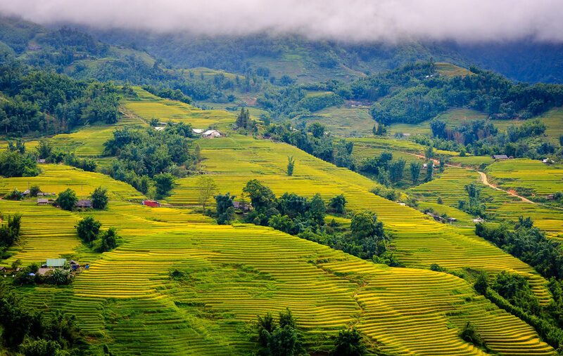 Tháng 7 nên đi du lịch ở đâu? List 15+ địa chỉ du lịch mùa hè hấp dẫn nhất