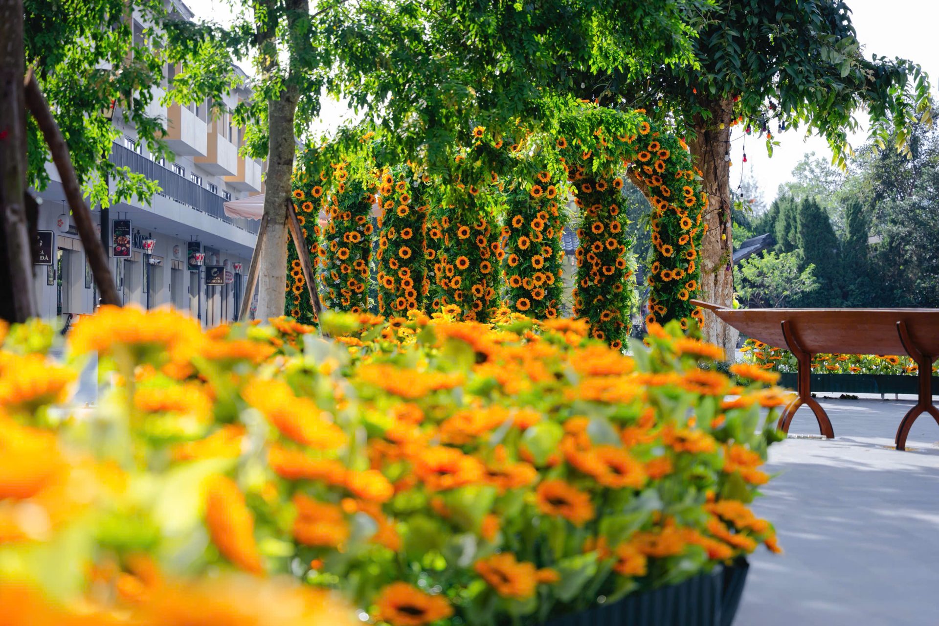 KHÚC GIAO MÙA LỄ HỘI