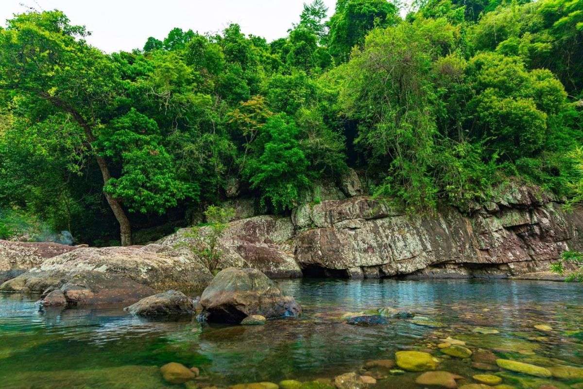Khu bảo tồn thiên nhiên Khe Rỗ – Vẻ đẹp hoang sơ giữa đại ngàn