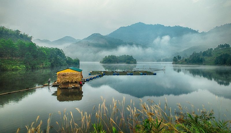 2025-11-ban-coi-3.jpg