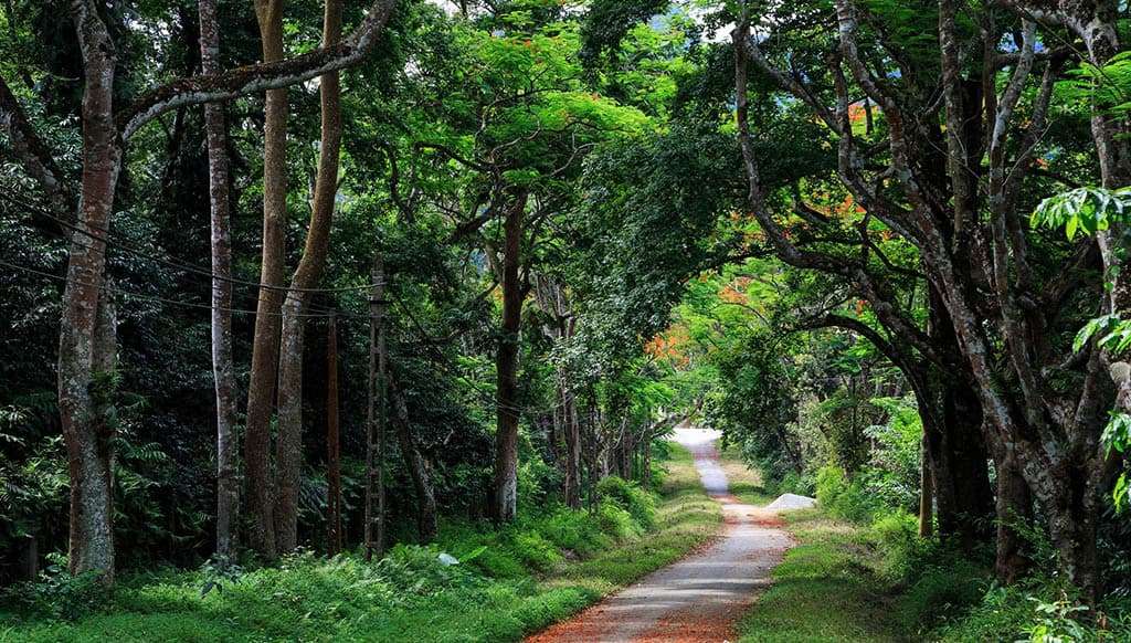 Ba Vì - vùng núi xanh mát, cách trung tâm chỉ 60 km