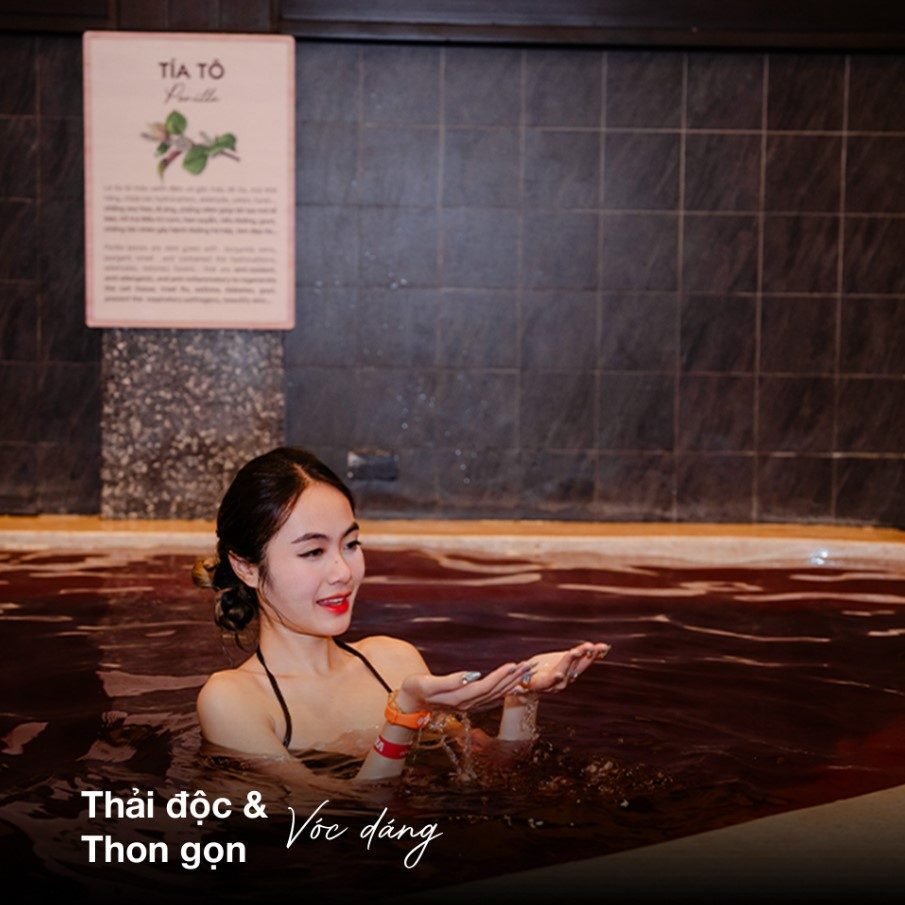 2026-02-khu-nghi-duong-thanh-thuy-phu-tho-2.jpg