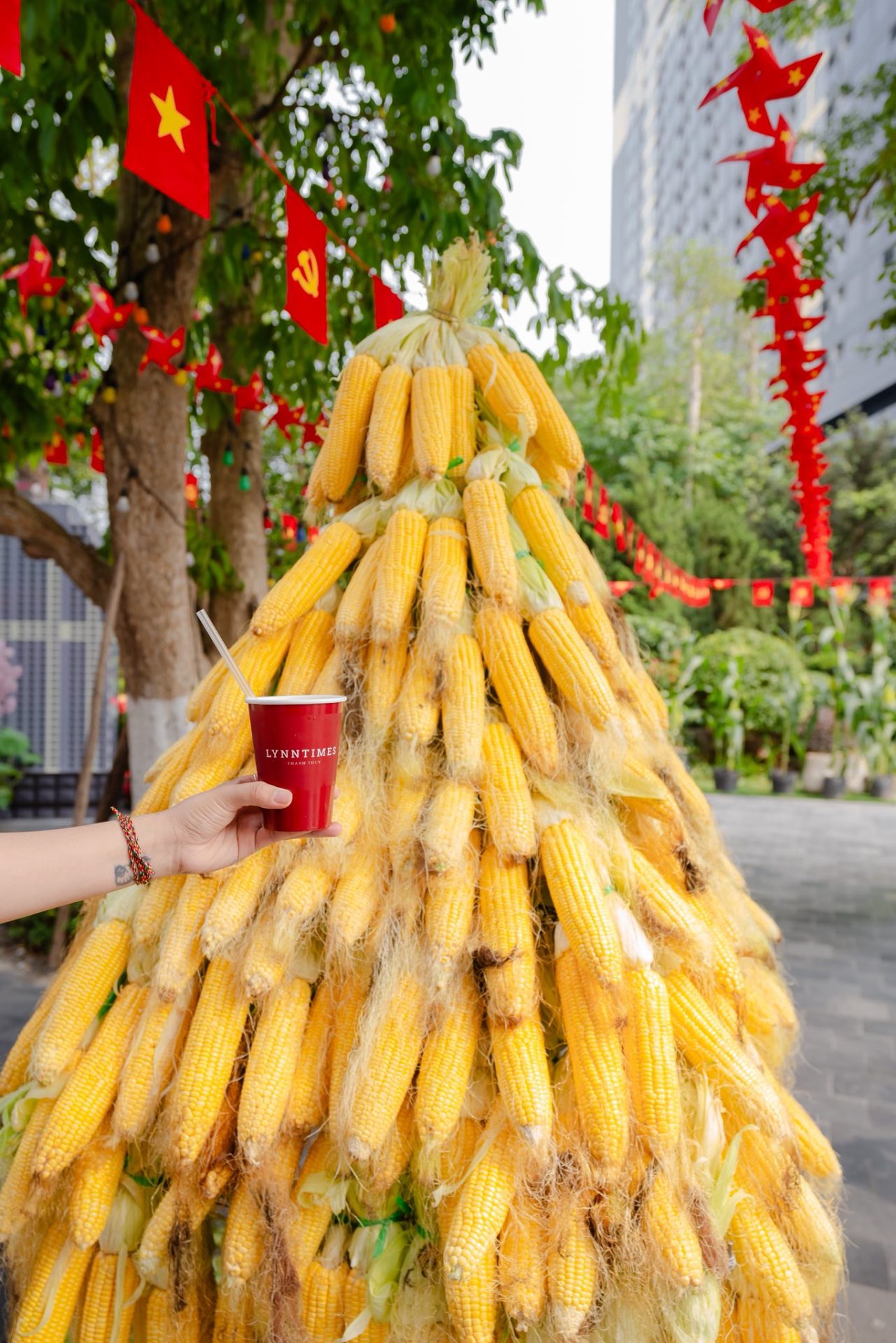 Lễ hội Ngô Vàng: Hành trình tìm về hương vị mùa hè tròn đầy