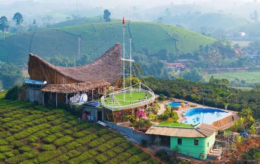 Kinh nghiệm đi du lịch đồi chè Long Cốc Tân Sơn Phú Thọ