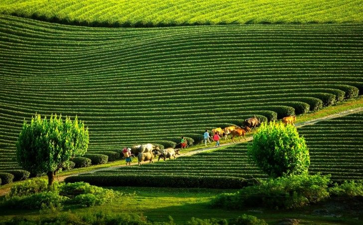 Top 26 Địa Điểm Du Lịch Gần Hà Nội Đổi Gió Cuối Tuần Hấp Dẫn Nhất