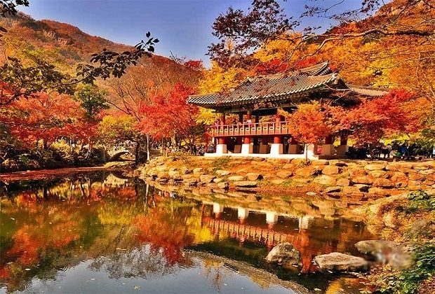 Du lịch mùa thu đi đâu đẹp? Top 20+ điểm đến trong và ngoài nước