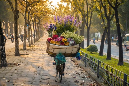 Du lịch mùa thu đi đâu đẹp? Top 20+ điểm đến trong và ngoài nước