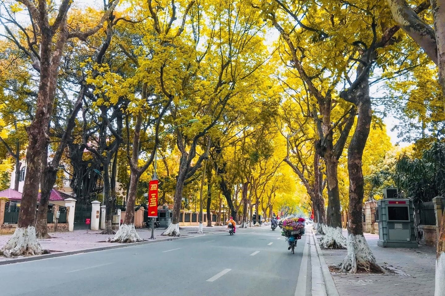 Du lịch mùa thu đi đâu đẹp? Top 20+ điểm đến trong và ngoài nước